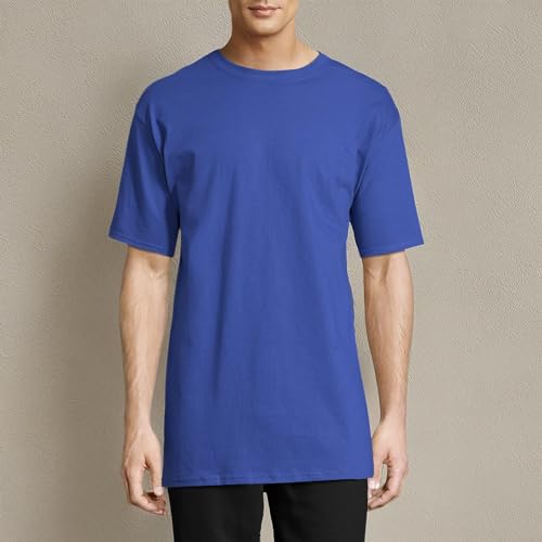 Hanes mens Beefy Short Sleeve Tee Value Pack (2-pack) (Availble in Tall) fashion t shirts, Deep Royal, X-Large Tall US