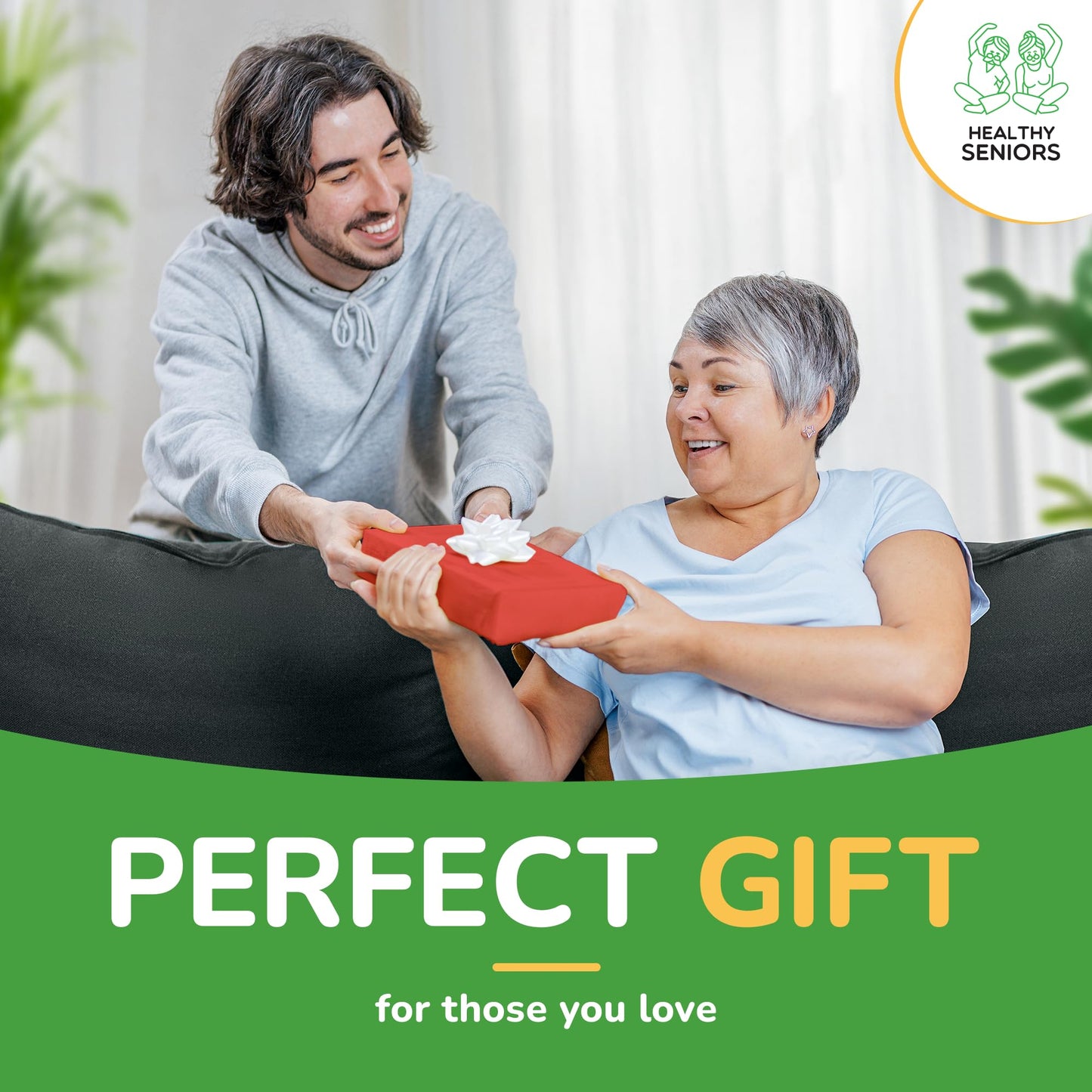 Healthy Seniors Chair Exercise Program with Two Resistance Bands, Handles and Printed Exercise Guide. Suitable for Rehab or Physical Therapy. Thoughtful Gift for Grandma or Grandpa