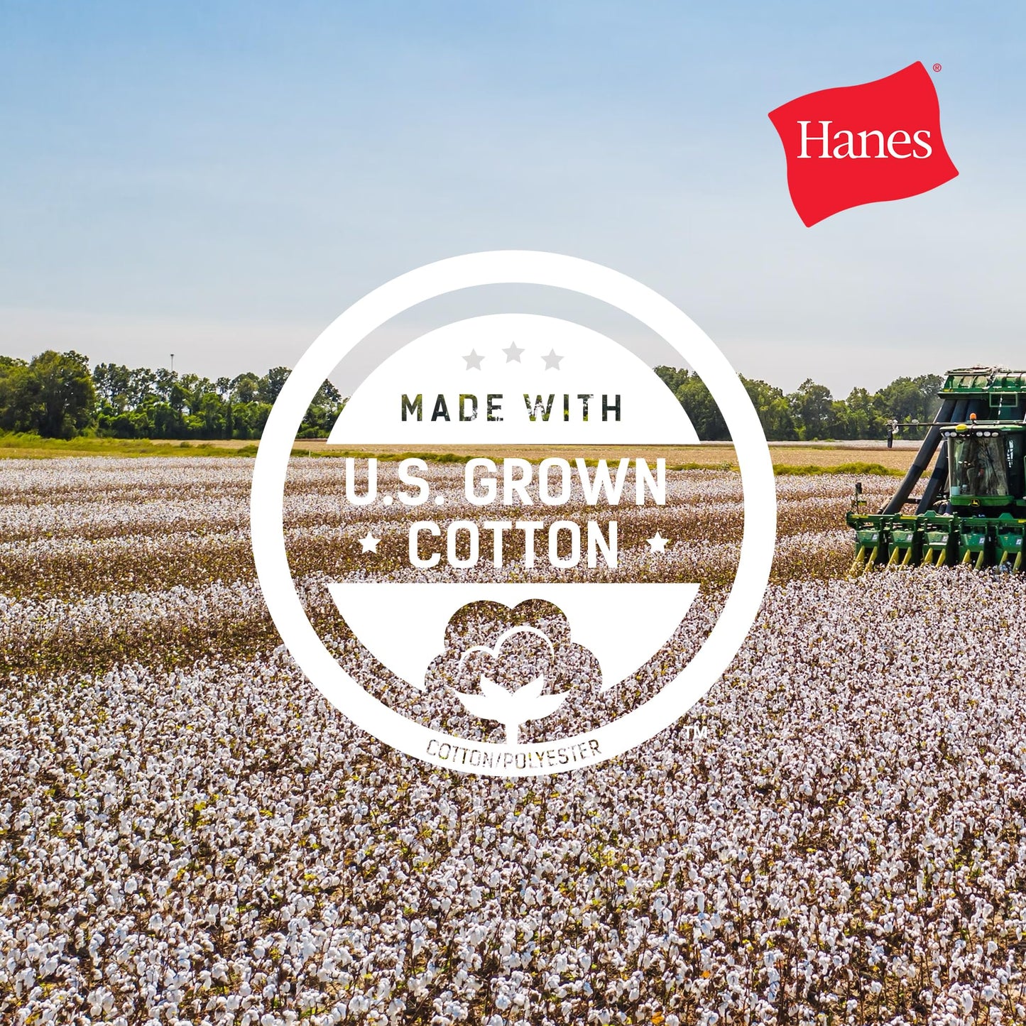 Hanes mens Beefy Short Sleeve Tee Value Pack (2-pack) (Availble in Tall) fashion t shirts, Deep Royal, X-Large Tall US