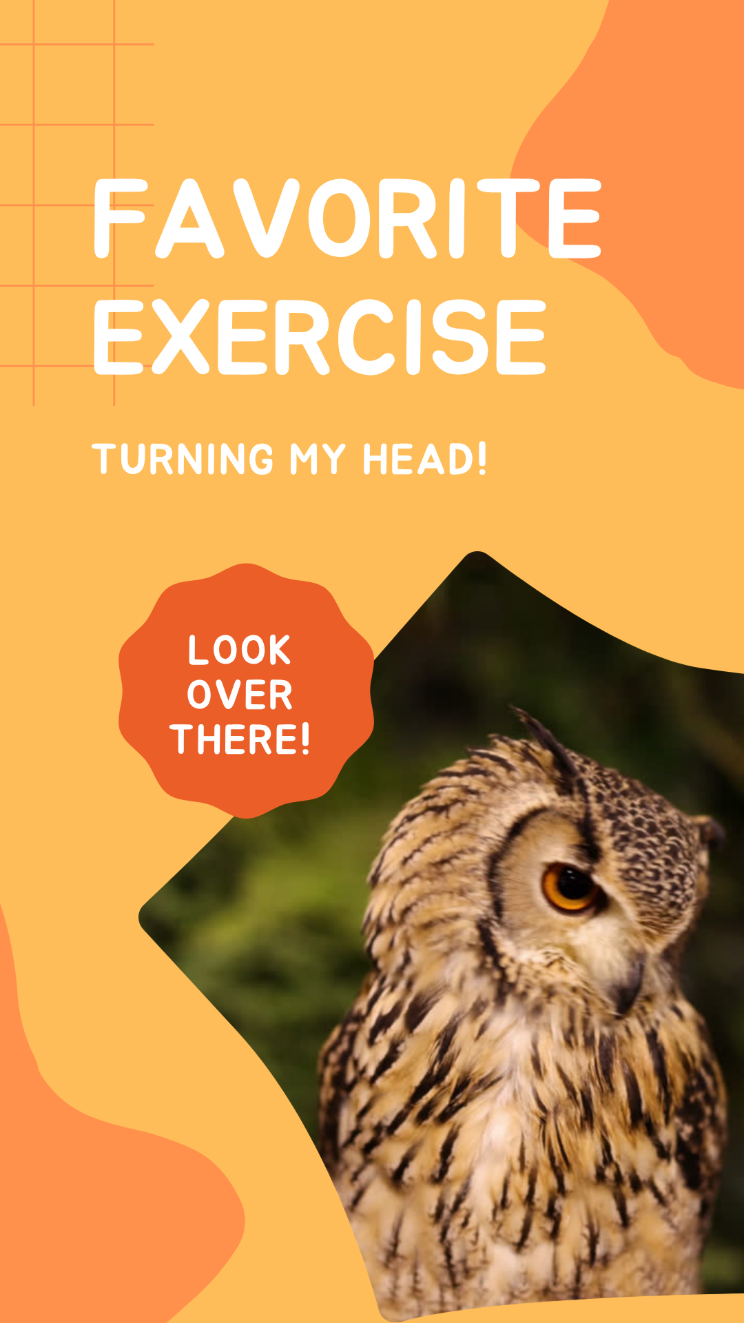 My favorite exercise is turning my neck to see if there’s cake – who needs cardio when cake exists, especially from an elderly perspective
