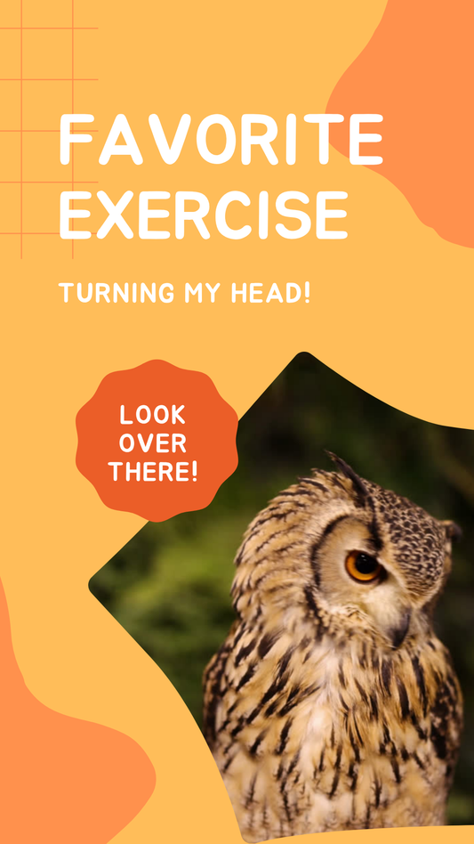 My favorite exercise is turning my neck to see if there’s cake – who needs cardio when cake exists, especially from an elderly perspective